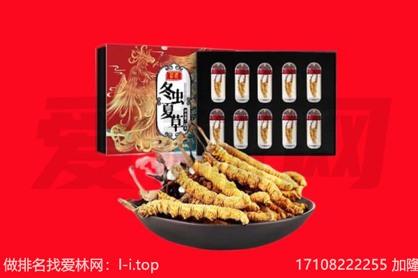 乌兰察布卓资县回收虫草.jpg